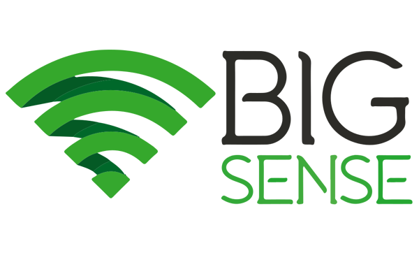 big_sense